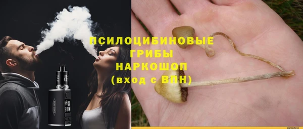 дурь Аркадак