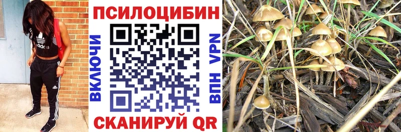Галлюциногенные грибы Psilocybine cubensis  купить наркоту  Лянтор 